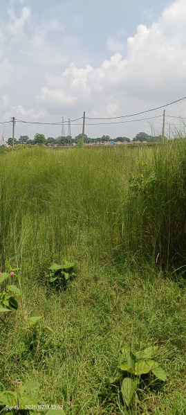  Residential Plot 8 Dismil for Sale in Ormanjhi, Ranchi