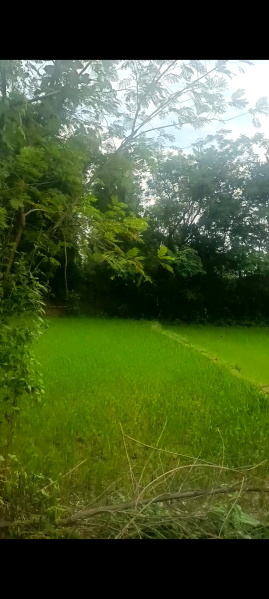 3 BHK 175 Dismil Farm House for Sale in Ormanjhi, Ranchi