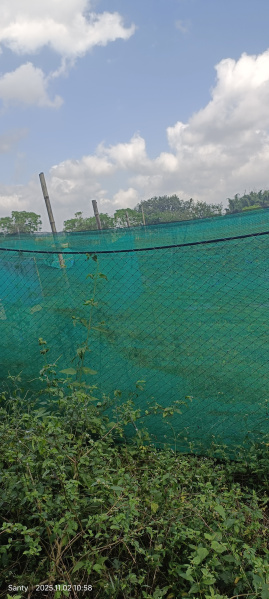  171 Dismil Residential Plot for Sale in Ormanjhi, Ranchi