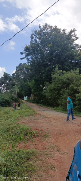  171 Dismil Residential Plot for Sale in Ormanjhi, Ranchi