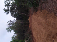 Residential Plot for Sale in Honavar, Uttara Kannada