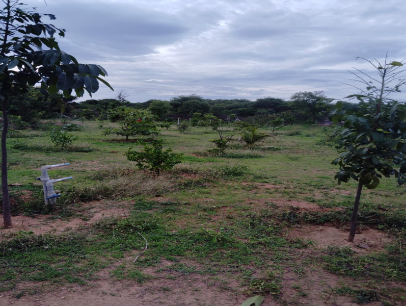  20000 Sq.ft. Residential Plot for Sale in Shoolagiri, Hosur
