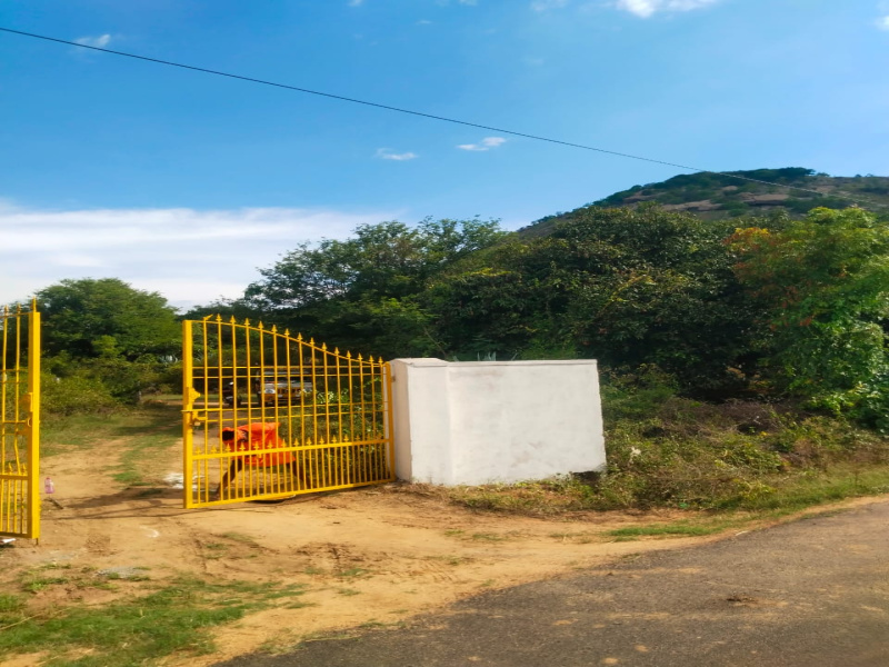  Agricultural Land 3 Acre for Sale in Bangalore Road, Hosur