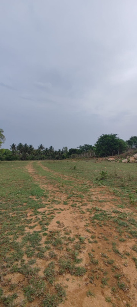  Agricultural Land 3 Acre for Sale in Bangalore Road, Hosur