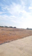  Agricultural Land for Sale in Sathankulam, Thoothukudi