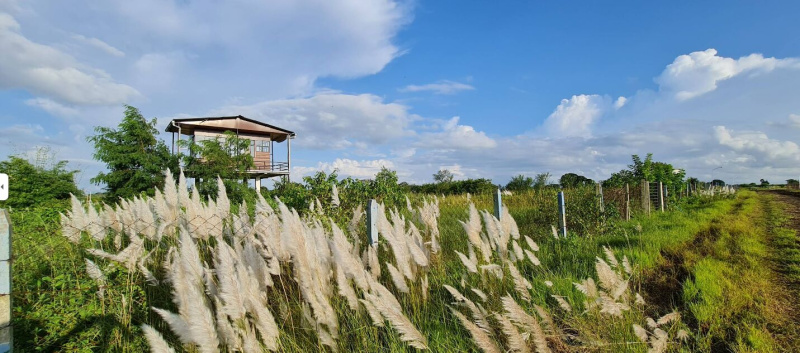  10000 Sq.ft. Residential Plot for Sale in Nagpur Road, Chhindwara