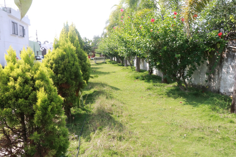  Residential Plot 1000 Sq.ft. for Sale in Imlikheda, Chhindwara