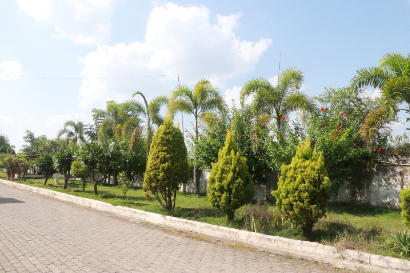  Residential Plot 2500 Sq.ft. for Sale in Imlikheda, Chhindwara