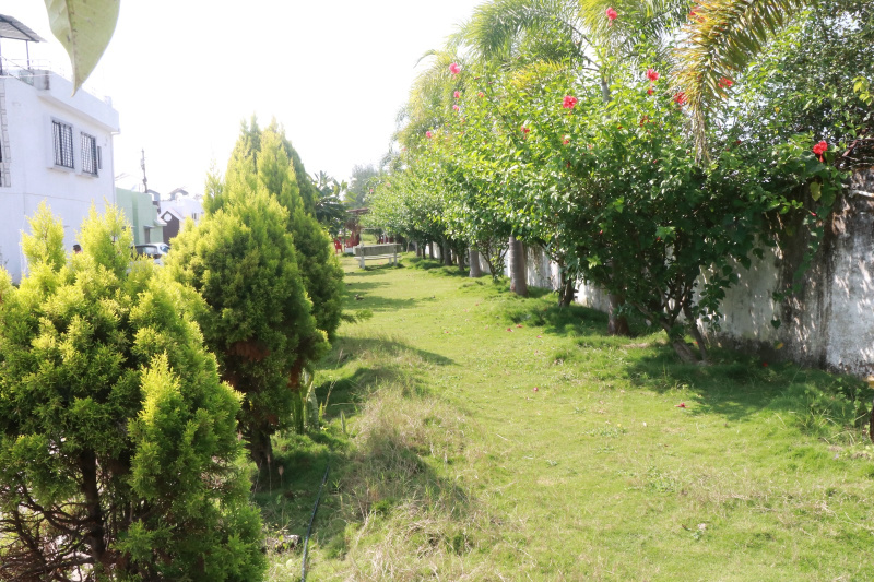  Residential Plot 5000 Sq.ft. for Sale in Imlikheda, Chhindwara