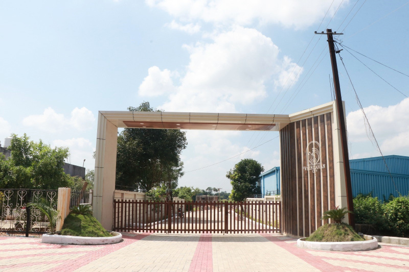  Residential Plot 1800 Sq.ft. for Sale in Guraiya, Chhindwara