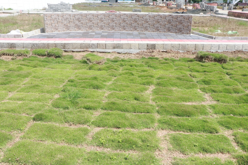  Residential Plot 900 Sq.ft. for Sale in Guraiya, Chhindwara