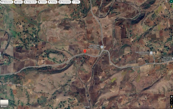  Agricultural Land for Sale in Tamia, Chhindwara