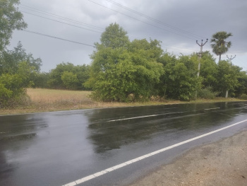  Agricultural Land for Sale in Kanjikovil, Erode