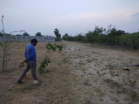  Residential Plot for Sale in Kazipet, Warangal