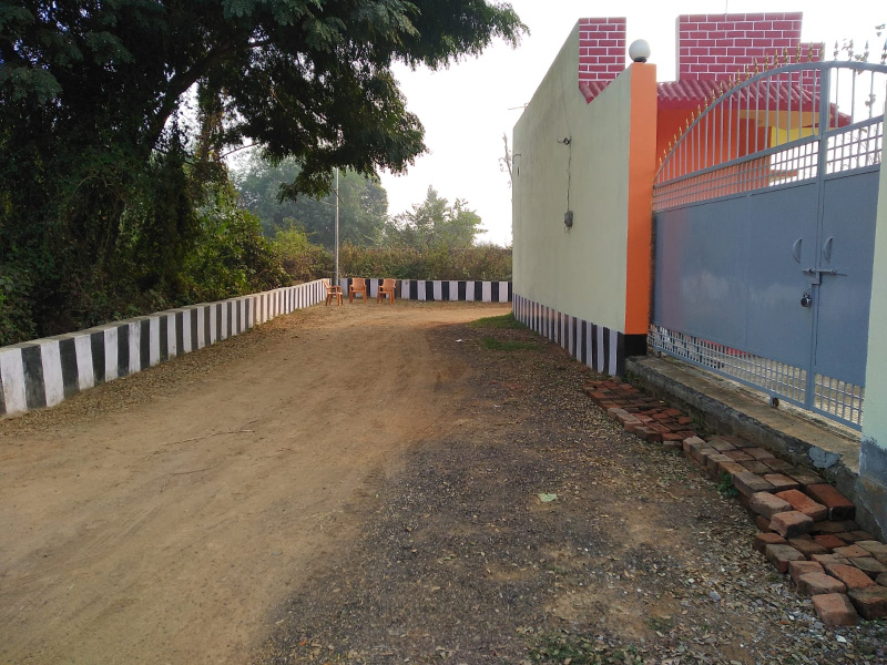  Residential Plot 1250 Sq.ft. for Sale in Chirora, Patna