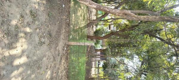 1 BHK 300 Sq. Meter Builder Floor for Sale in Gautam Budh Nagar, Greater Noida