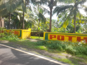  Agricultural Land for Sale in Kadayal, Kanyakumari