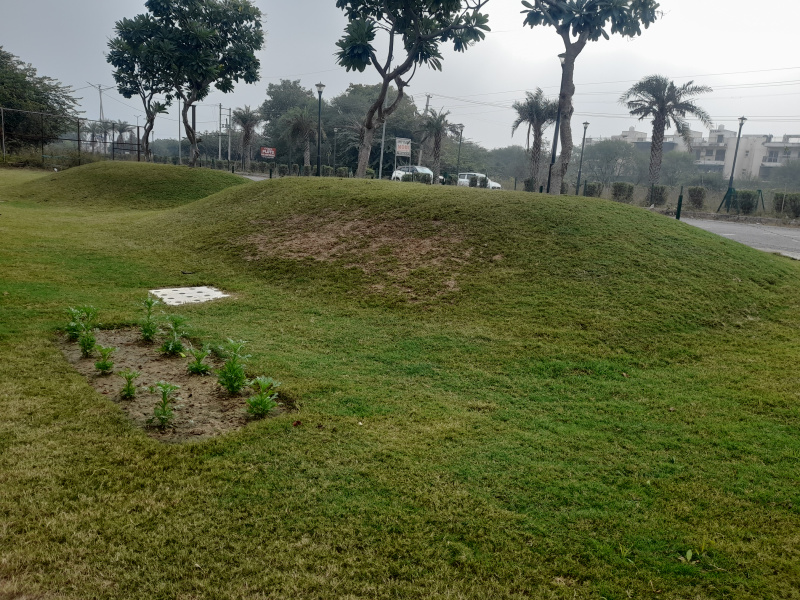  Residential Plot 144 Sq. Yards for Sale in Sector 84 Faridabad