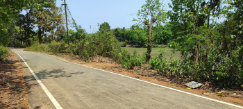  Agricultural Land for Sale in Kailasahar, Unakoti