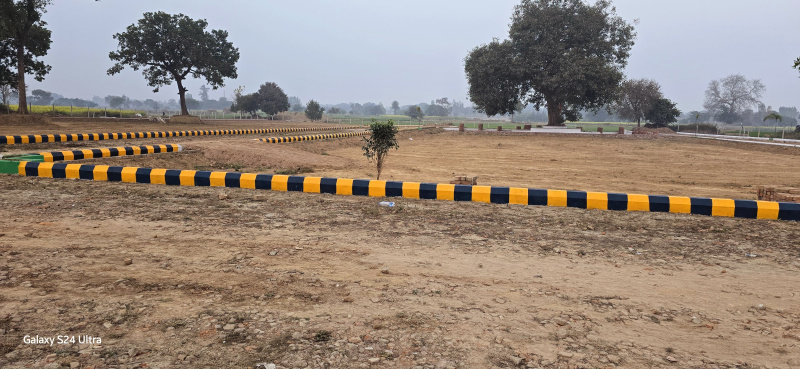  Residential Plot 4300000 Sq.ft. for Sale in Gosaiganj, Lucknow