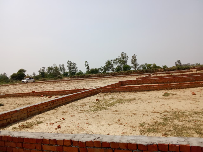  Residential Plot 1000 Sq.ft. for Sale in Gosaiganj, Lucknow