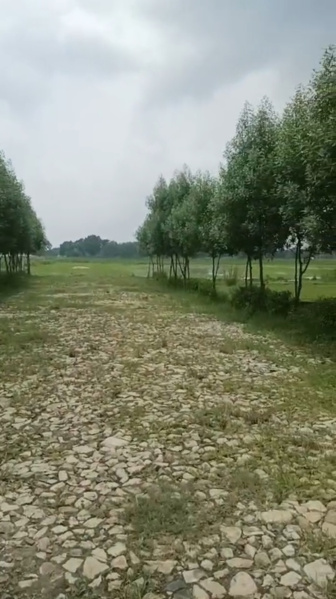 New Jail Road, Lucknow photo 3