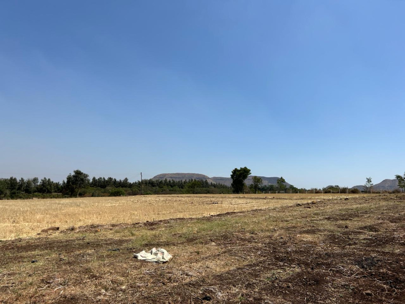  Agricultural Land 10890 Sq.ft. for Sale in Dugaon, Nashik