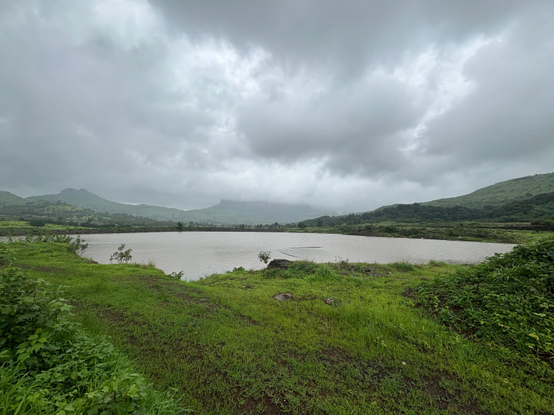 Property image for Trimbak, Nashik