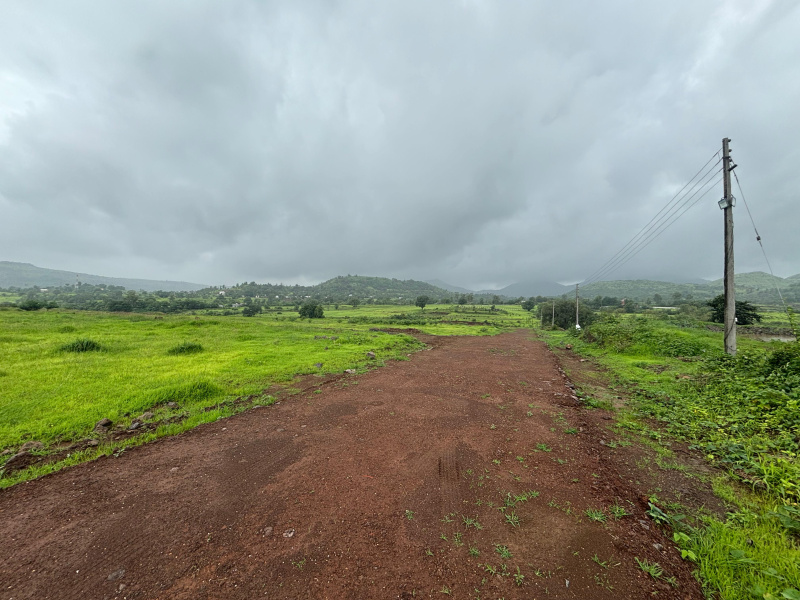  Residential Plot 10 Guntha for Sale in Trimbak, Nashik