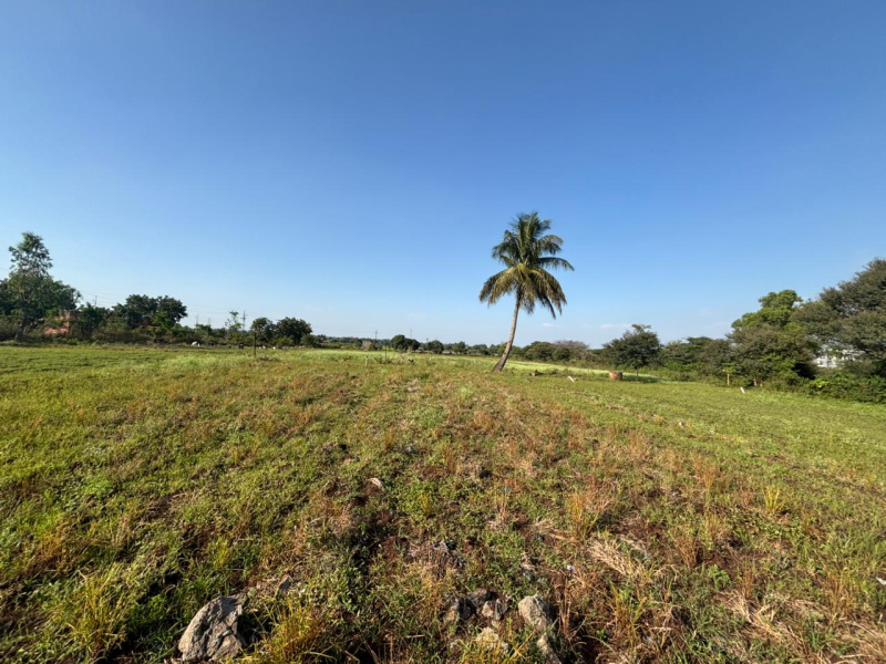 Property image for Deolali, Nashik