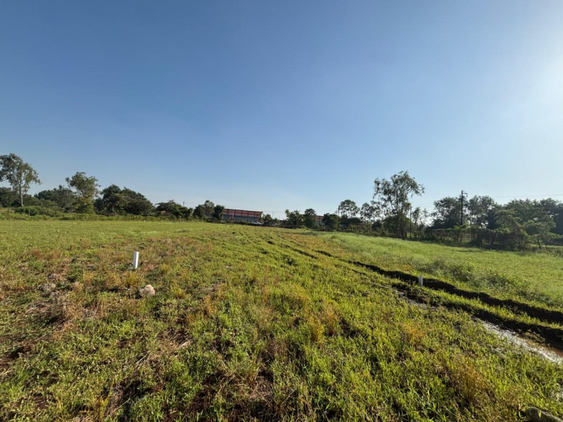 1350 Sq.ft. Residential Plot for Sale in Deolali, Nashik