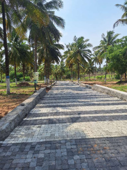  Agricultural Land for Sale in Kinathukadavu, Coimbatore