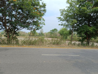  Agricultural Land for Sale in Saintala, Balangir
