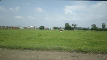  Agricultural Land for Sale in Ballabhgarh, Faridabad