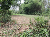  Residential Plot for Sale in Borigaon, Morigaon