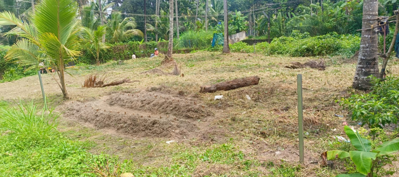  Residential Plot 260000 Cent for Sale in Peringottukara, Thrissur