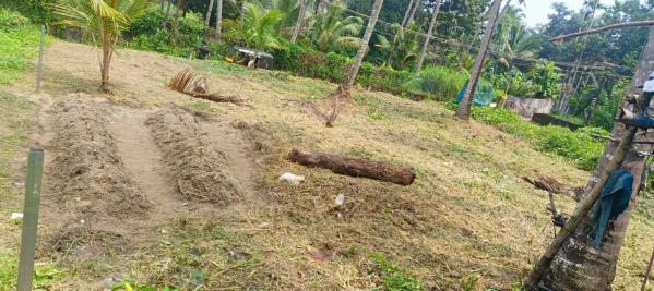  Residential Plot 260000 Cent for Sale in Peringottukara, Thrissur