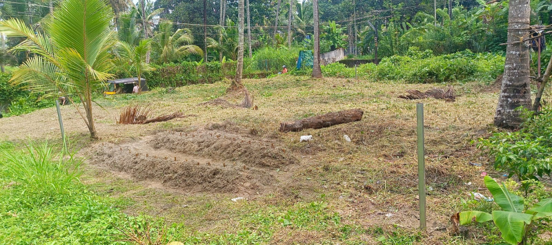  Residential Plot 260000 Cent for Sale in Peringottukara, Thrissur