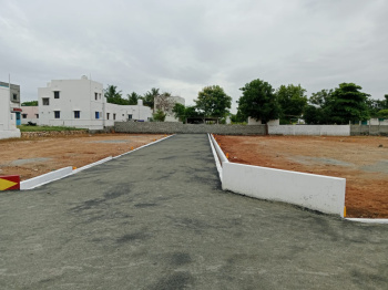  Residential Plot for Sale in Gobichettipalayam, Erode