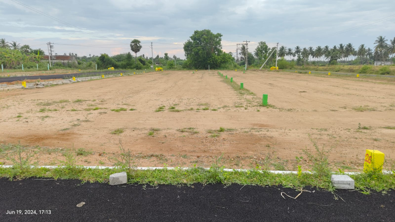  Residential Plot 800 Sq.ft. for Sale in Kilpennathur, Tiruvannamalai