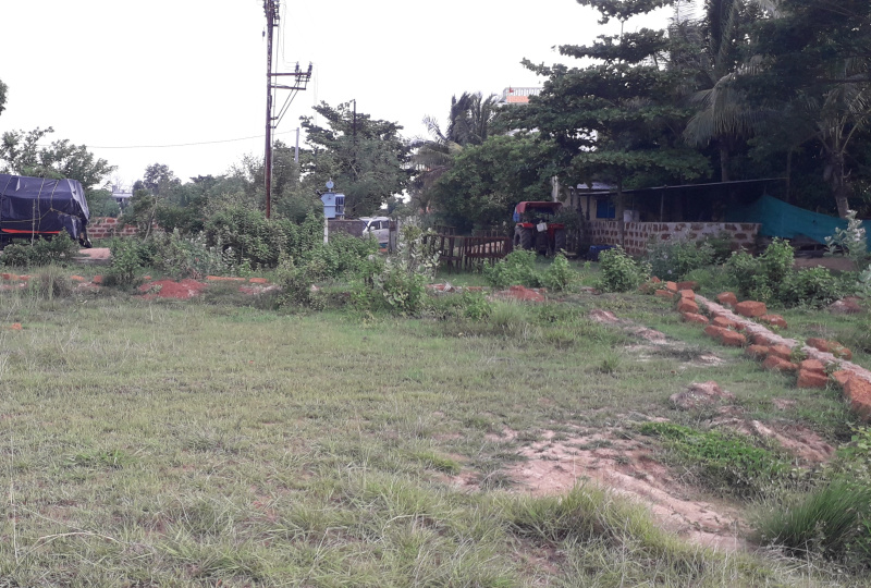  Agricultural Land 1500 Sq.ft. for Sale in Pandiapada, Bhubaneswar