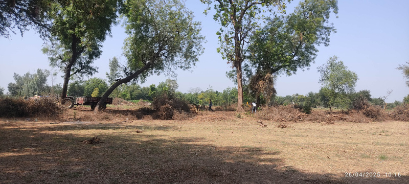 Agricultural Land 8 Bigha for Sale in Valasan, Anand