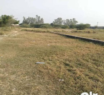  Residential Plot for Sale in Choubey Colony, Chhatarpur