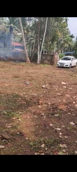  Residential Plot 25 Cent for Sale in Thiruvathukkal, Kottayam
