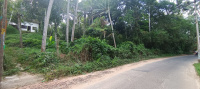  Commercial Land for Sale in Vizhinjam, Thiruvananthapuram