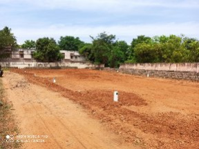  Residential Plot 2583 Sq.ft. for Sale in Athikulam, Madurai