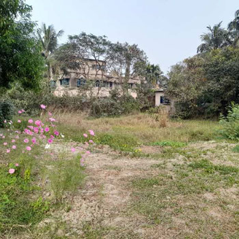 Farm Land for Sale in Diamond Harbour, South 24 Parganas (REI1105209)