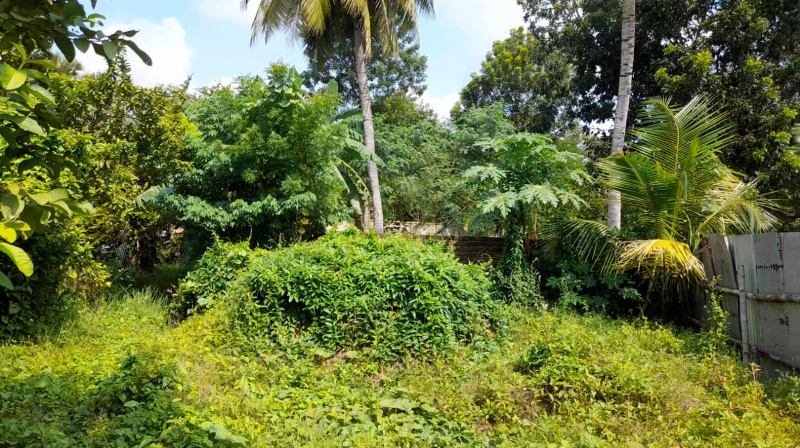  Agricultural Land 20 Katha for Sale in Diamond Harbour, South 24 Parganas