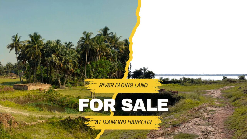  Agricultural Land 25 Bigha for Sale in Diamond Harbour, South 24 Parganas