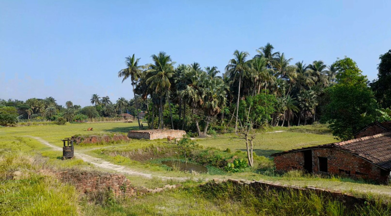  Agricultural Land 25 Bigha for Sale in Diamond Harbour, South 24 Parganas